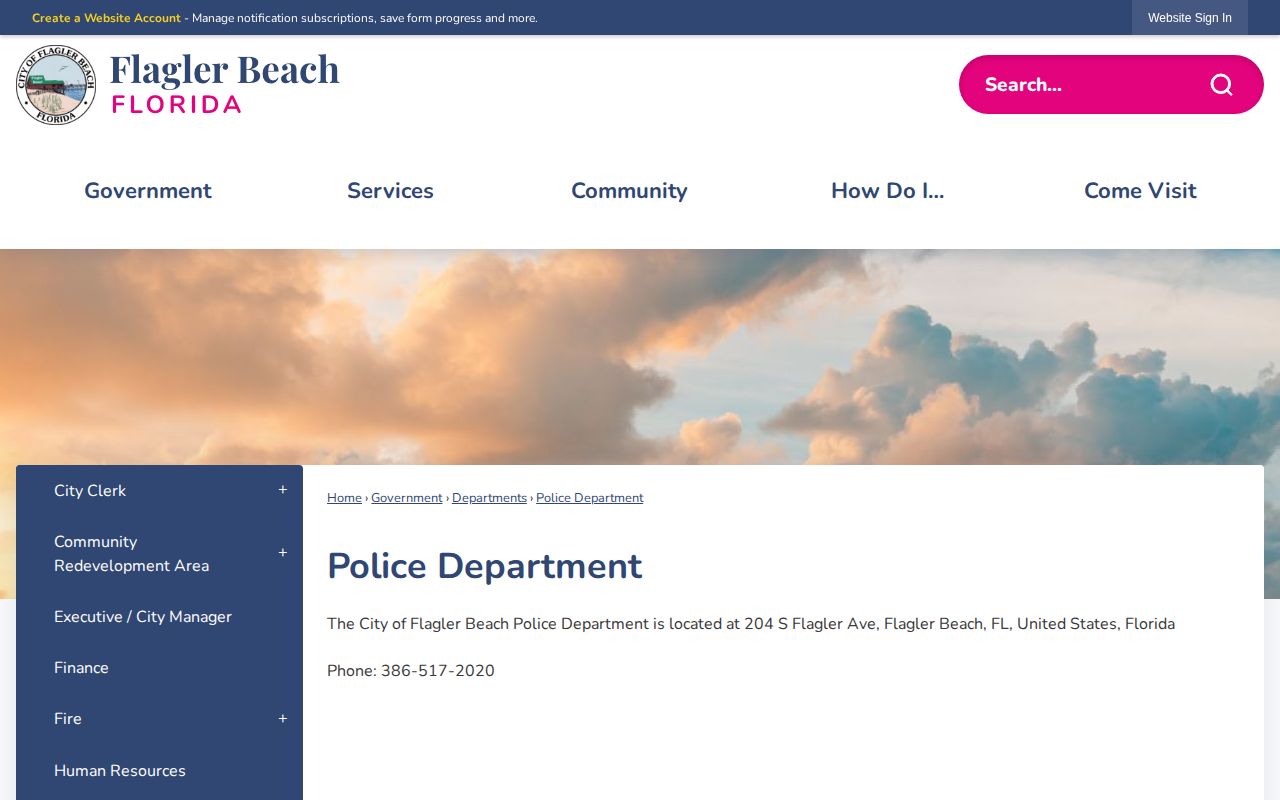 Flagler Beach Police arrest record source page in Flagler County